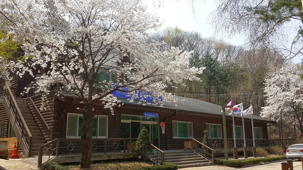 1935319850_LTqXnYhr_da78ed3b7836cceb2a7f121281e4dfa2ab21de39.jpg 이미지크게보기